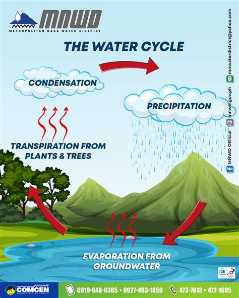 watershed in tagalog